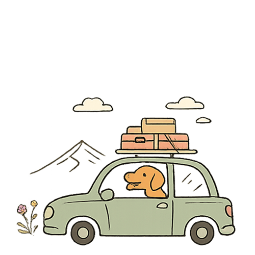 Travel